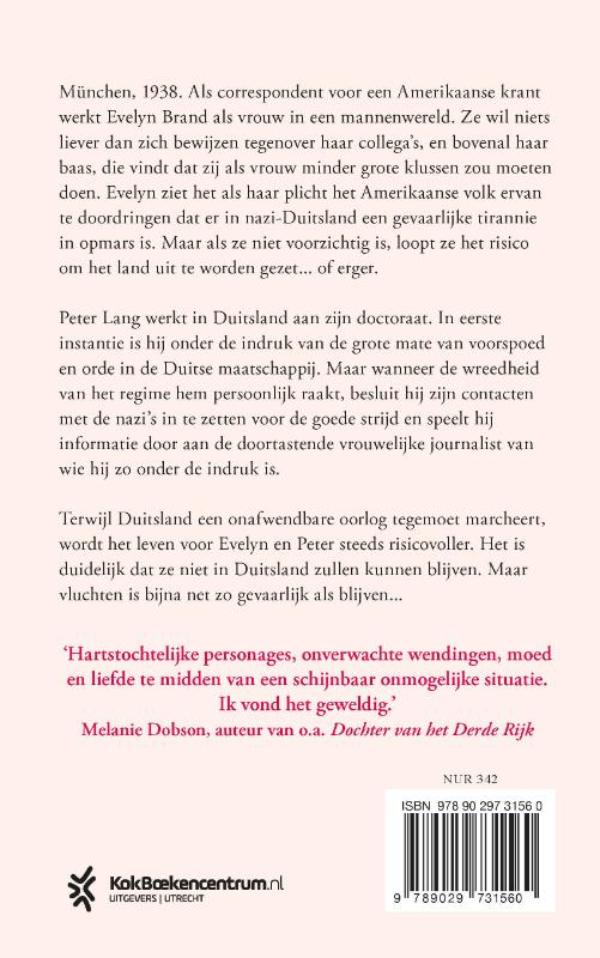Achterkant van Sterren in de schemering