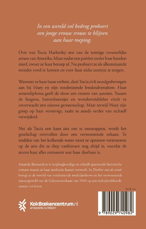 Achterkant van Het mysterie van de gouden munt