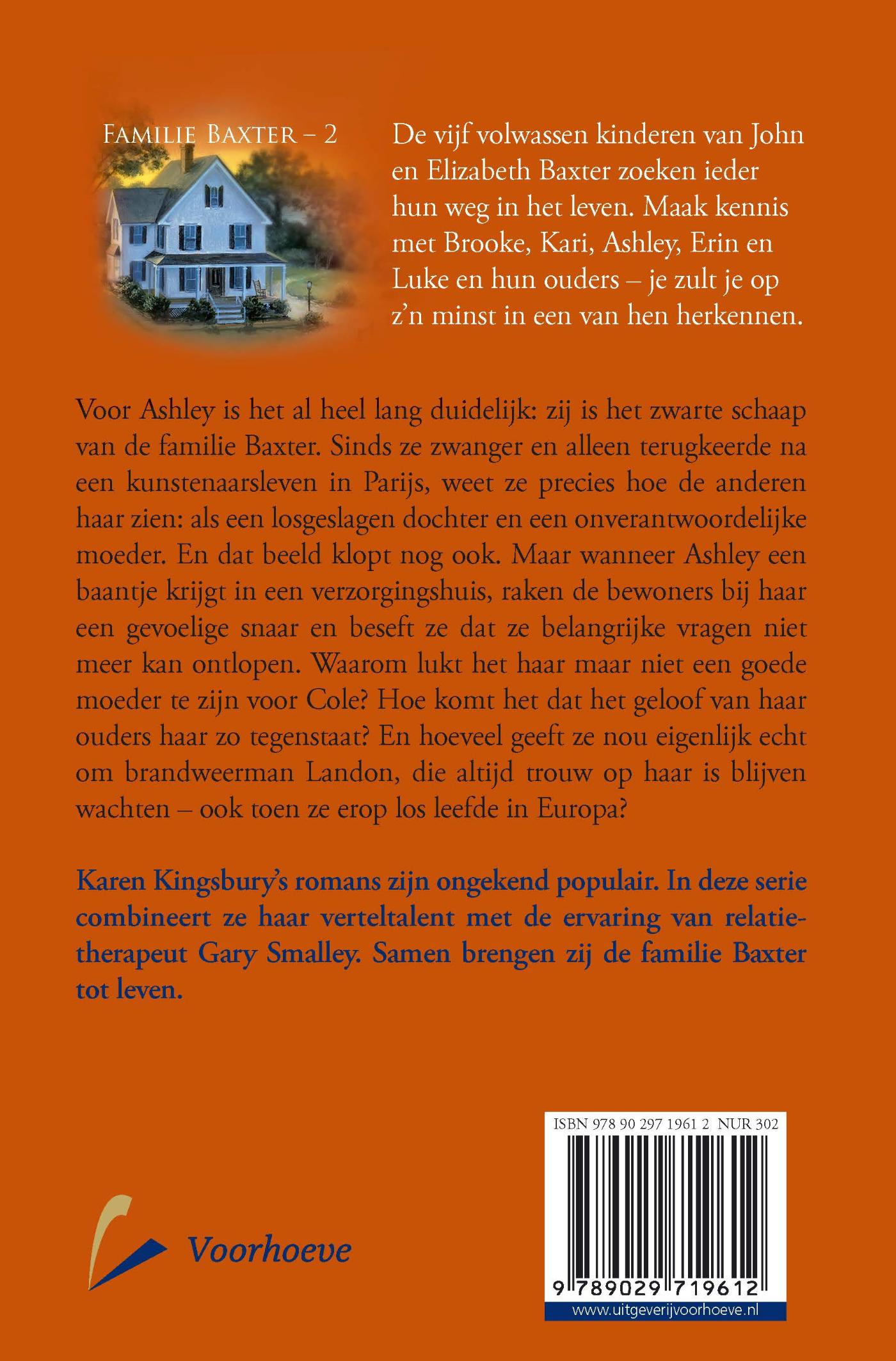 Achterkant van Meer dan ooit
