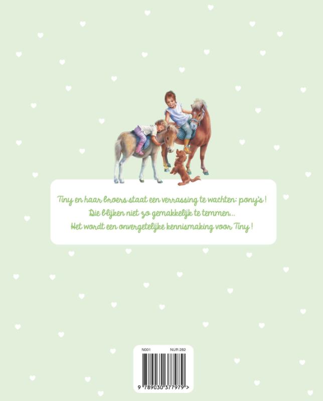 Achterkant van Tiny en de lieve pony