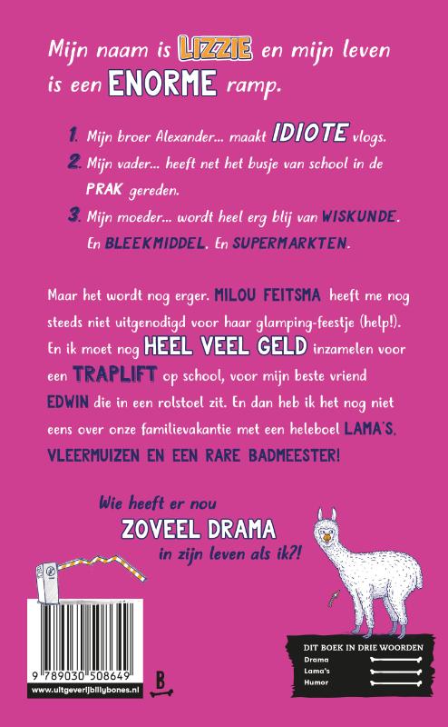 Achterkant van Lama's, losers en ander levensdrama
