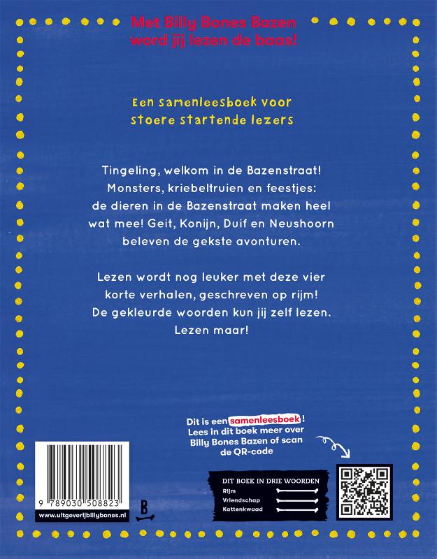 Achterkant van De Bazenstraat