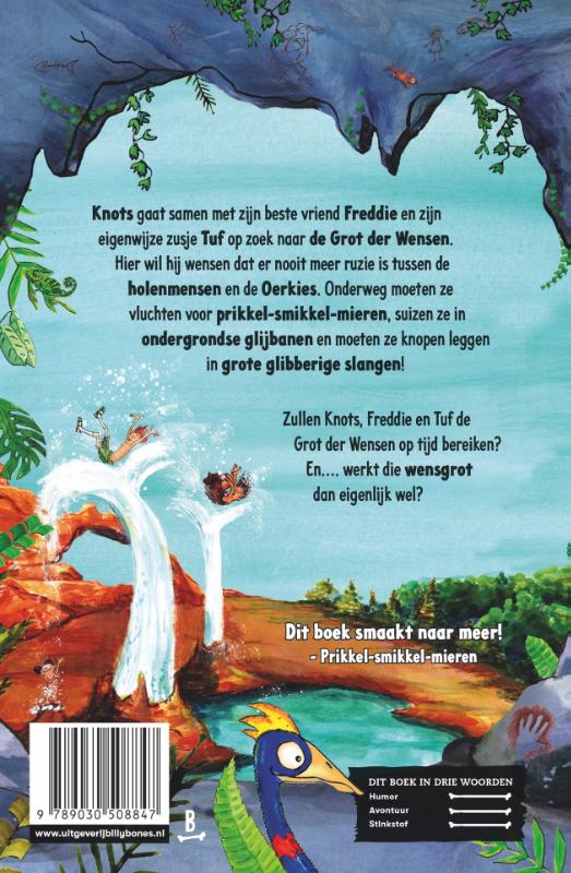 Achterkant van De grot der wensen