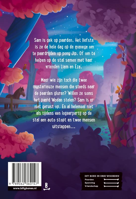 Achterkant van Sam en de paardendieven