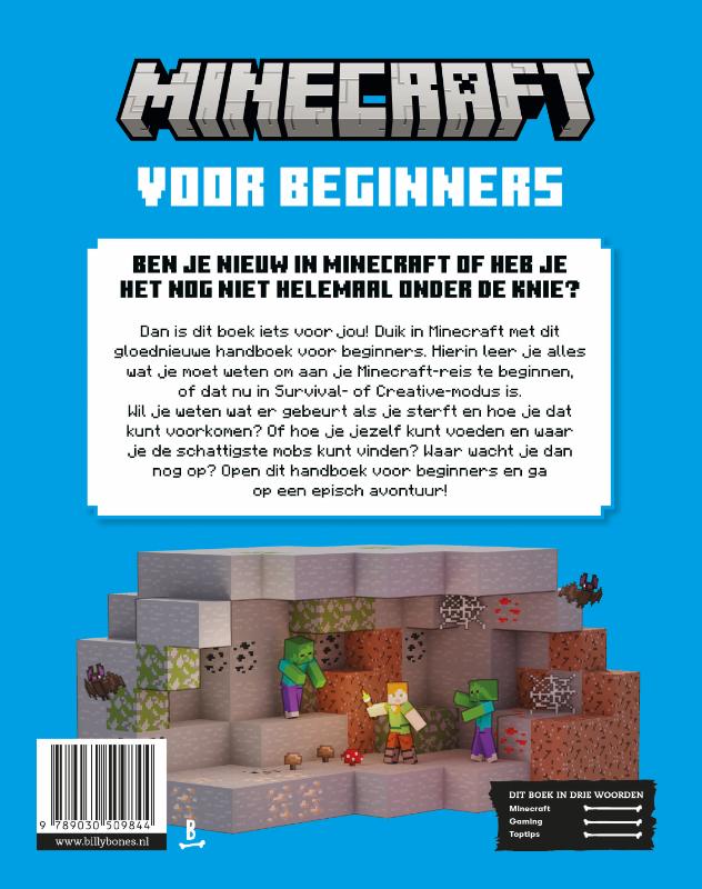 Achterkant van Minecraft voor beginners