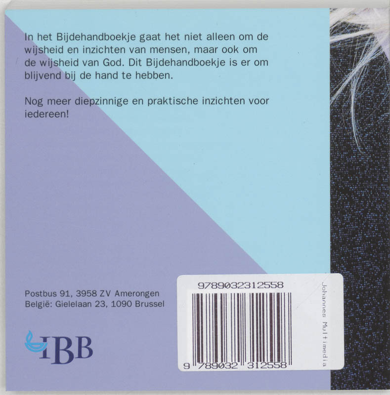 Achterkant van (2)