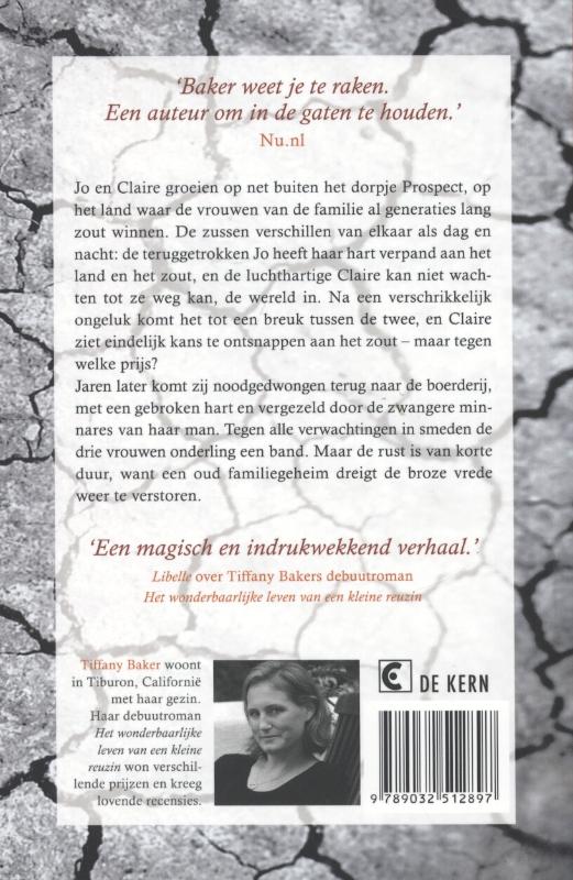 Achterkant van De kleur van het zout