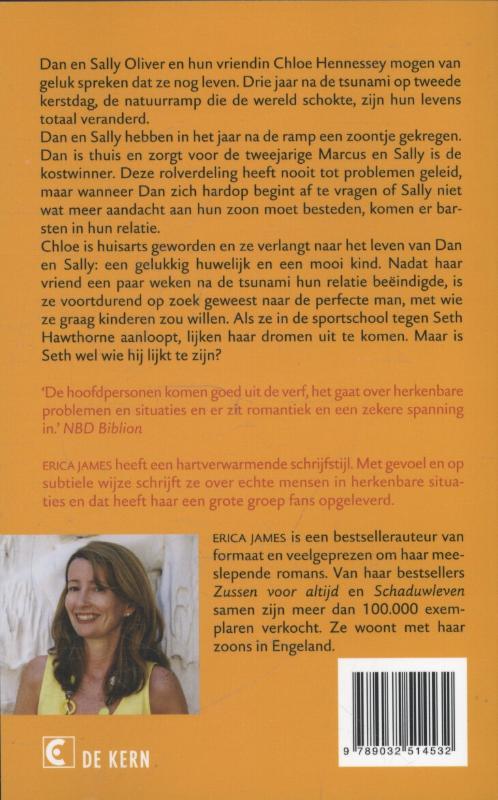 Achterkant van De kleine dingen