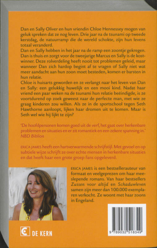 Achterkant van De kleine dingen