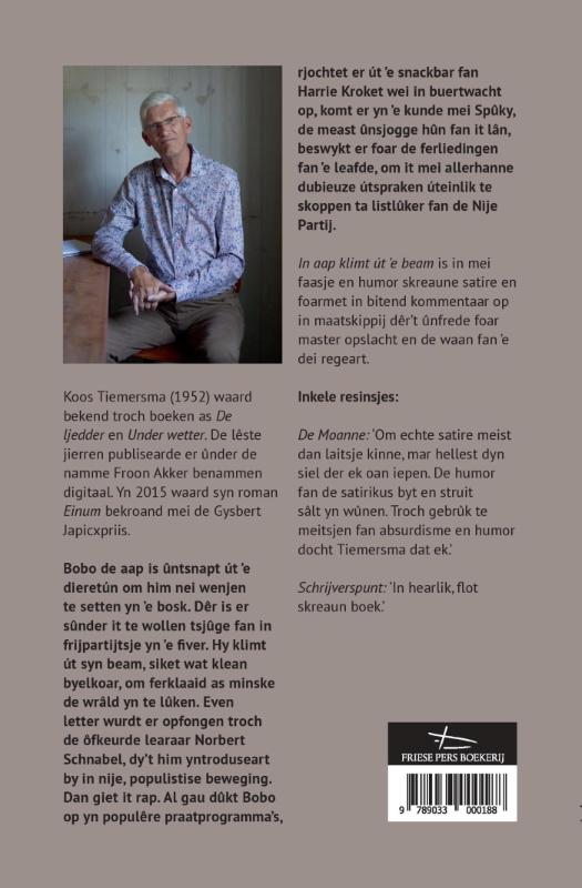 Achterkant van In aap klimt út ’e beam