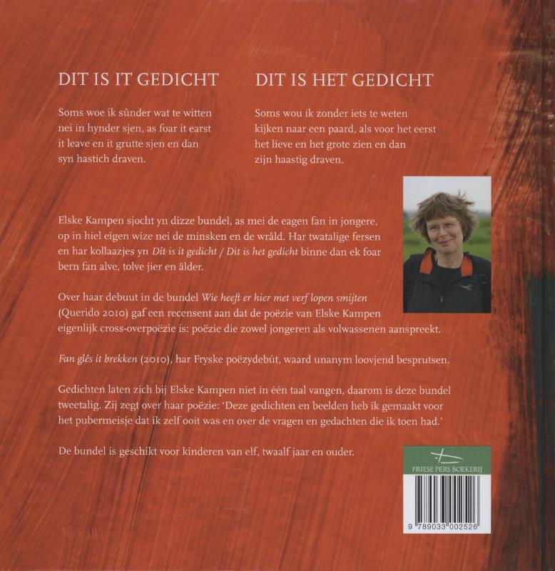 Achterkant van Dit is it gedicht