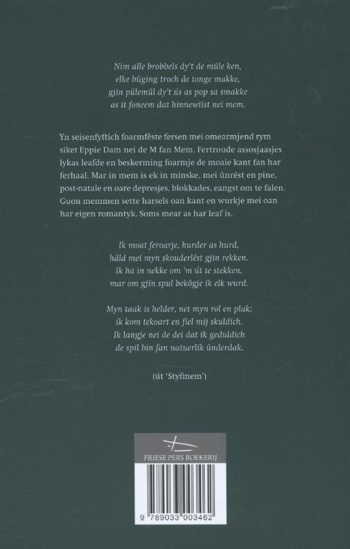 Achterkant van Mem sjoch boi