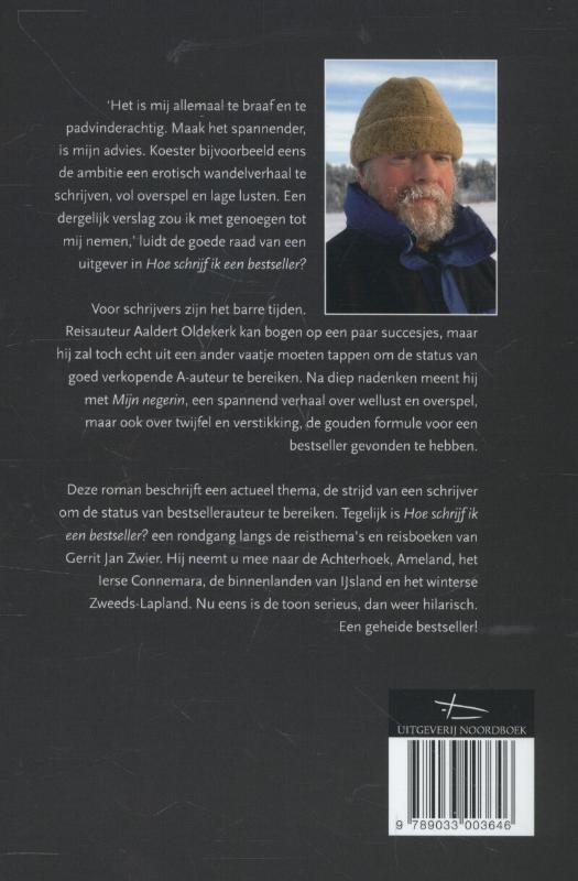 Achterkant van Hoe schrijf ik een bestseller?