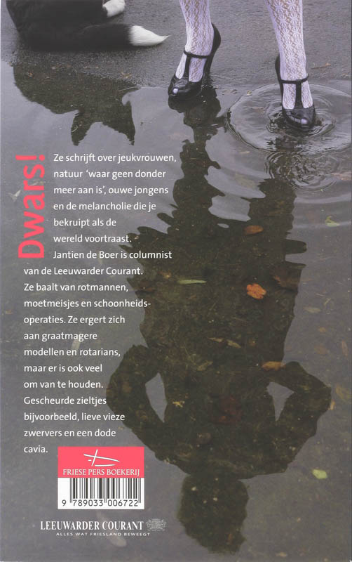 Achterkant van Dwars