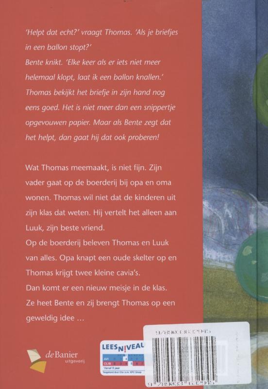 Achterkant van Gekleurde ballonnen