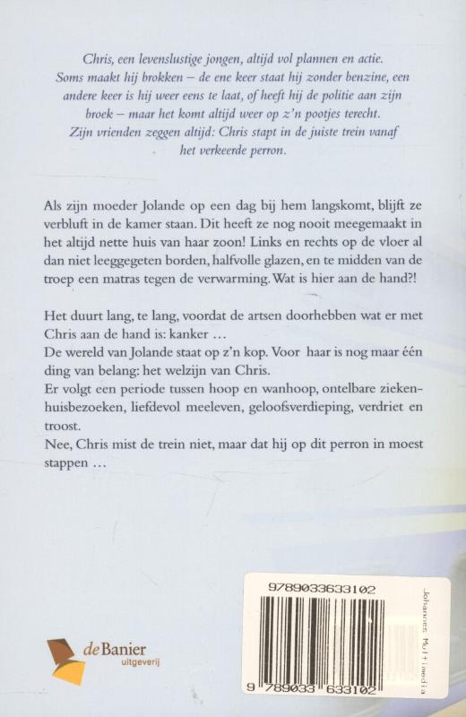 Achterkant van De juiste trein vanaf het verkeerde perron