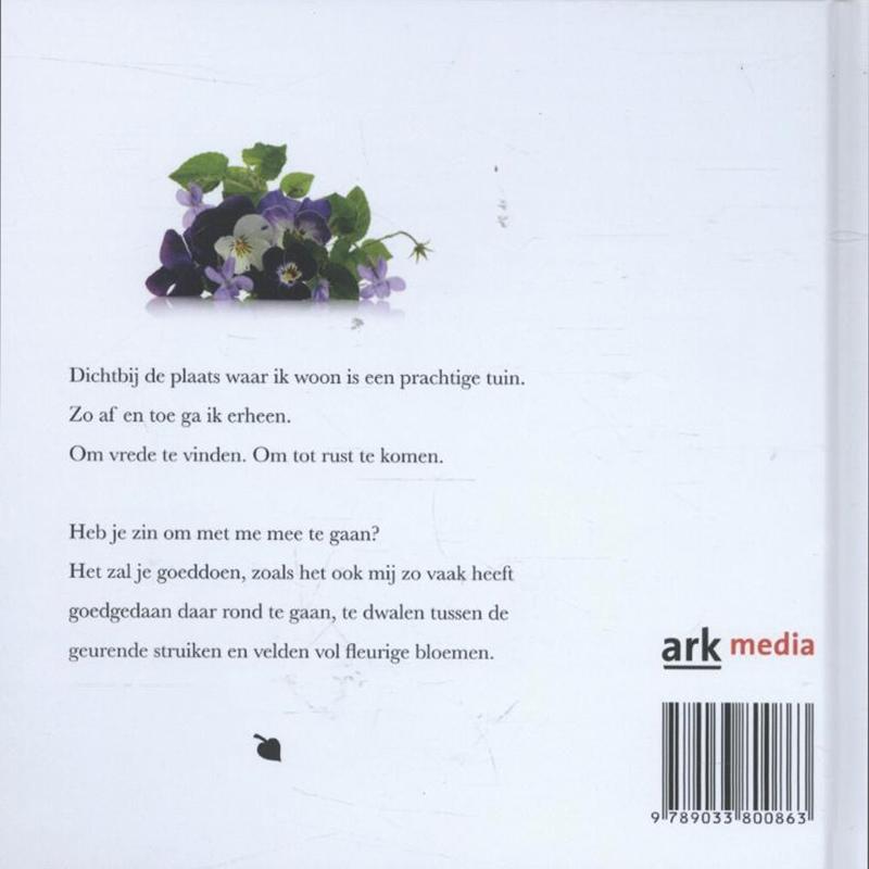 Achterkant van De hof van vrede
