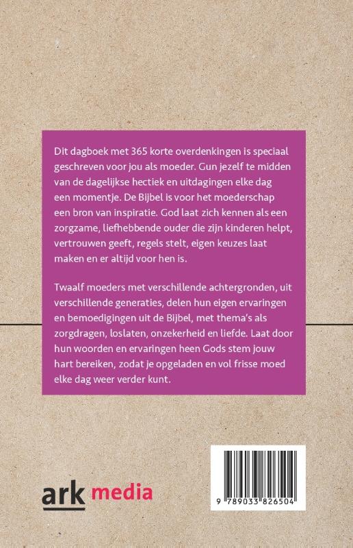 Achterkant van Hier aan zijn voeten
