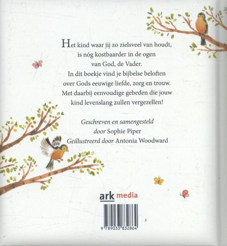 Achterkant van Gods beloften voor jou bij je doop