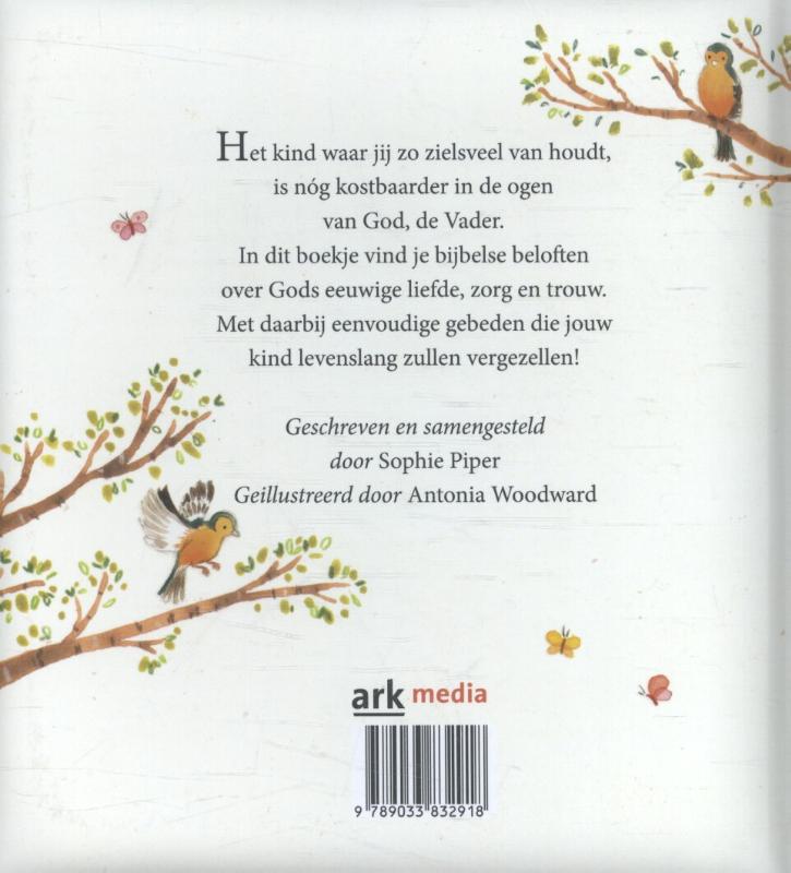 Achterkant van Gods beloften voor jou bij je opdragen