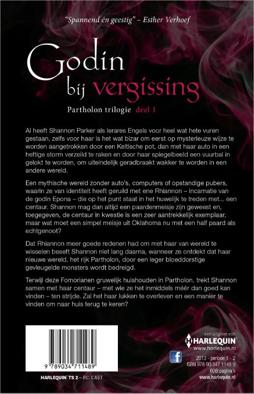 Achterkant van Godin bij vergissing