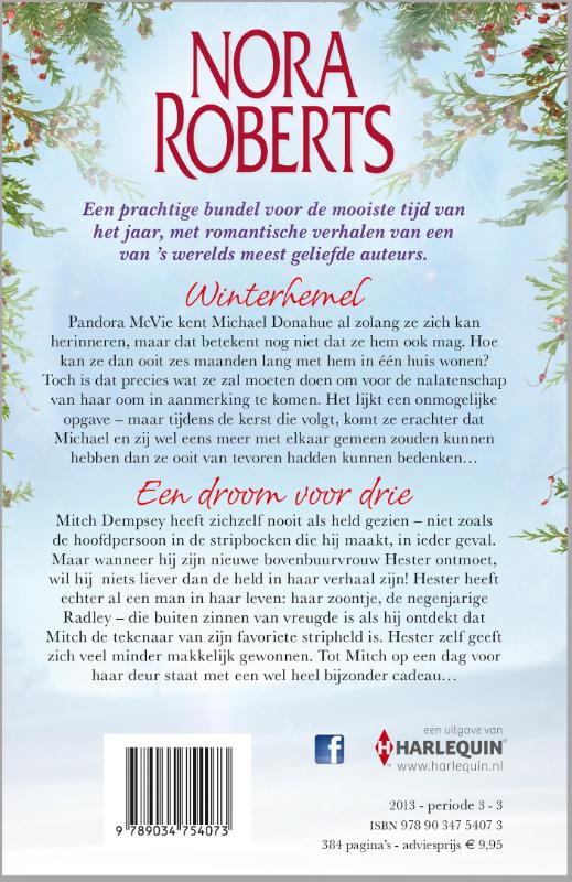 Achterkant van Winterdromen