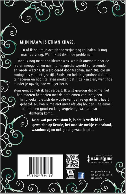 Achterkant van De verloren prins