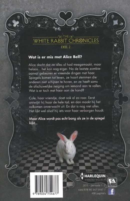 Achterkant van Door de Zombiespiegel