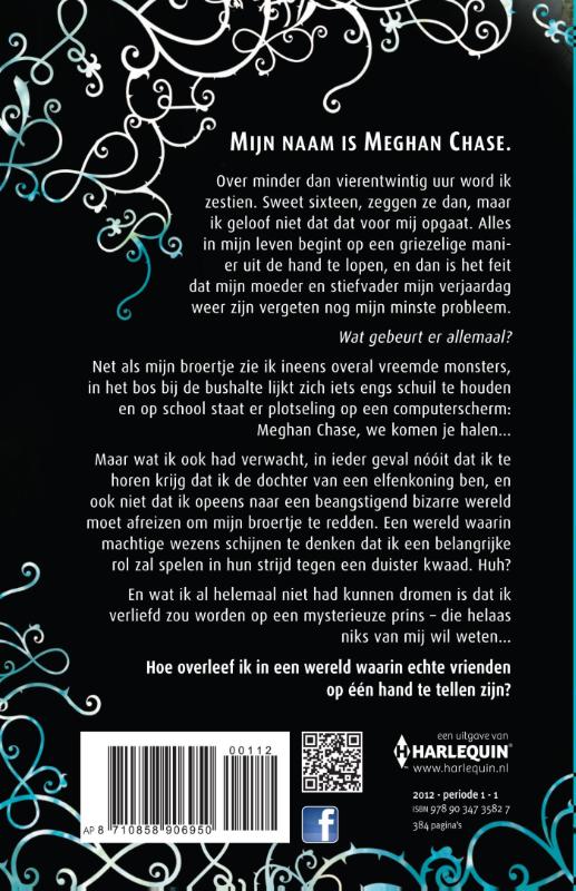 Achterkant van De IJzerkoning