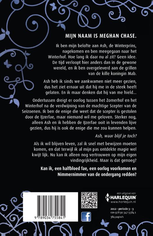 Achterkant van De IJzerprinses