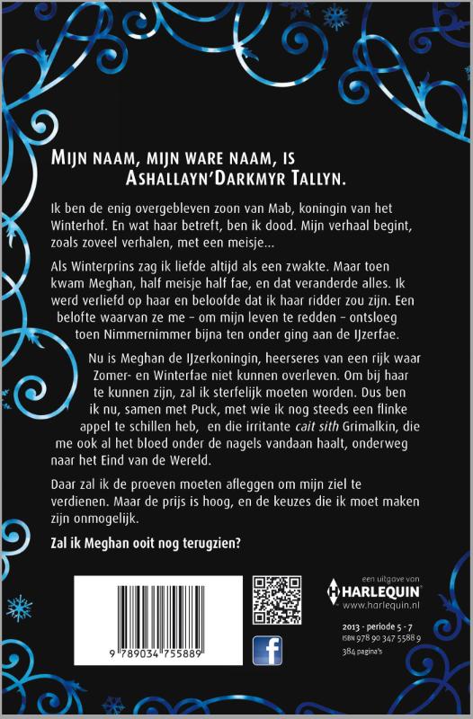 Achterkant van De IJzerprins