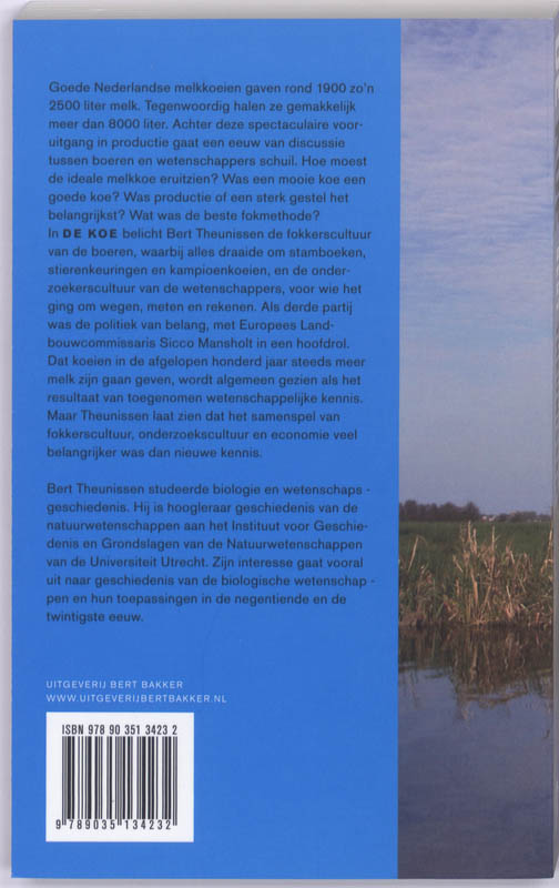 Achterkant van de koe