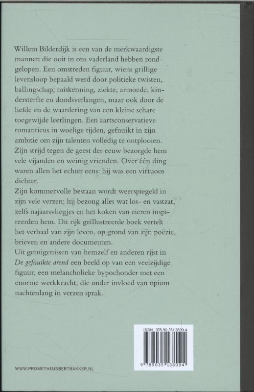 Achterkant van De gefnuikte arend