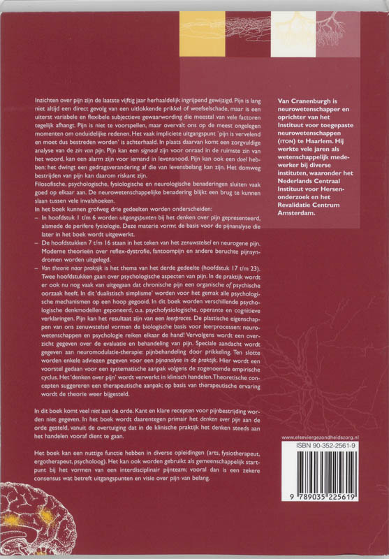 Achterkant van 3 Pijn