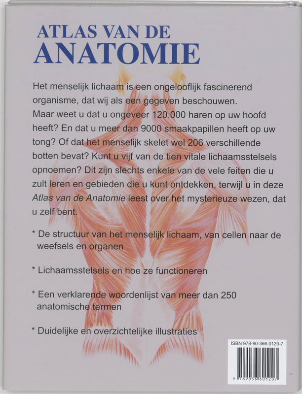 Achterkant van Atlas van de anatomie