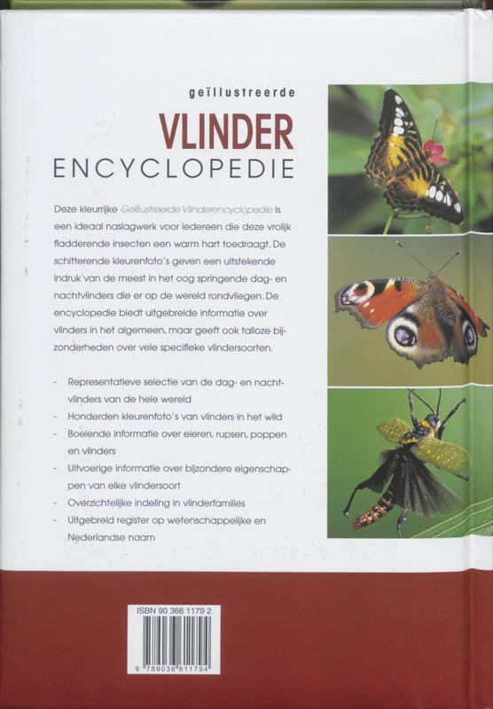 Achterkant van Vlinder encyclopedie