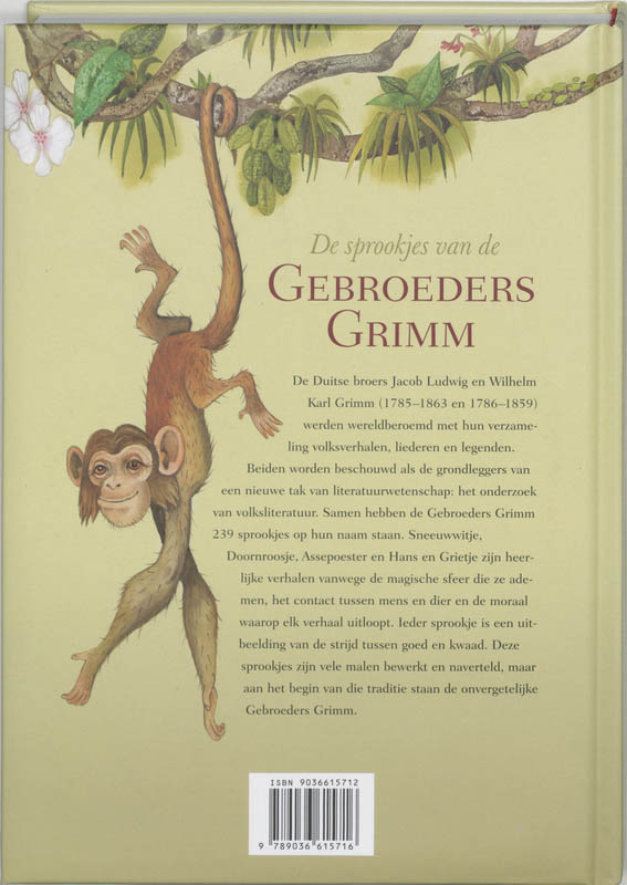Achterkant van De sprookjes van de Gebroeders Grimm