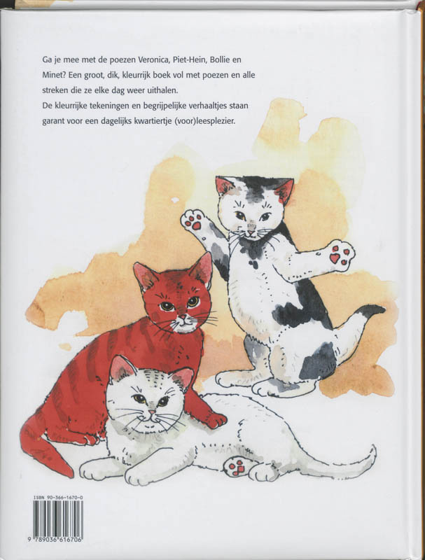 Achterkant van 365 Poezenstreken