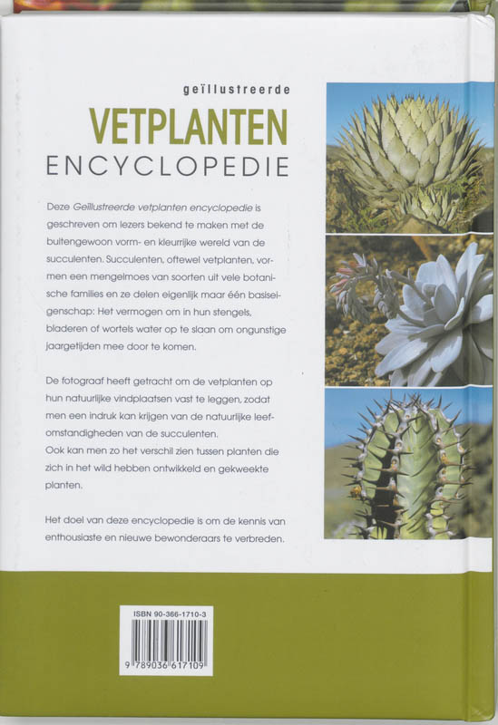 Achterkant van Geillustreerde vetplanten encyclopedie