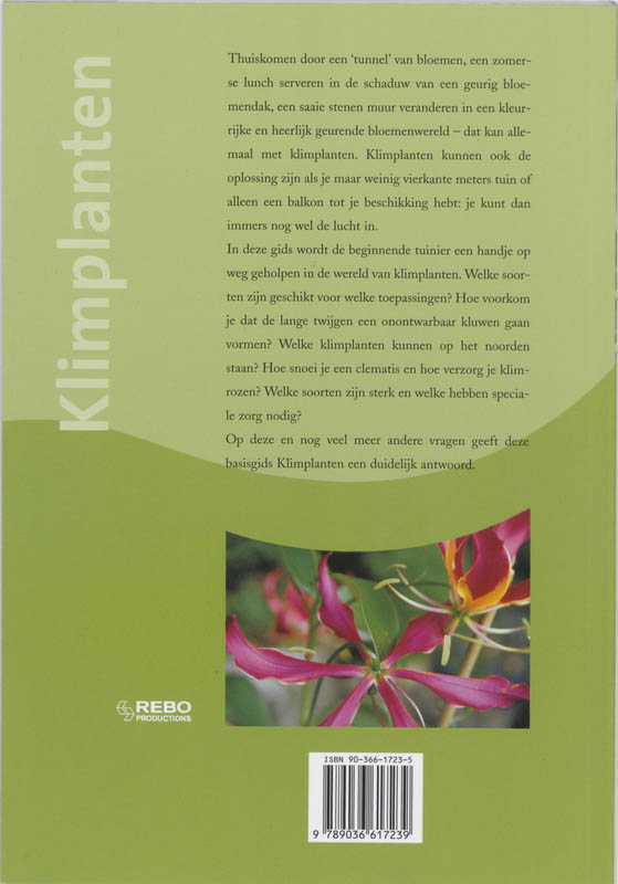 Achterkant van Klimplanten