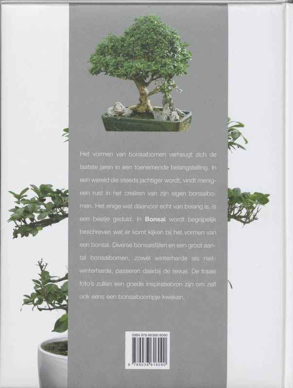 Achterkant van Bonsai