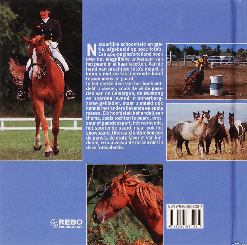 Achterkant van Paarden
