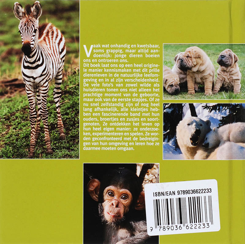 Achterkant van Jonge dieren