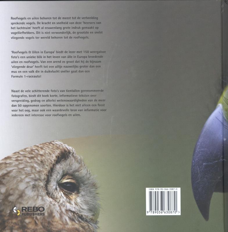 Achterkant van Roofvogels & uilen in Europa
