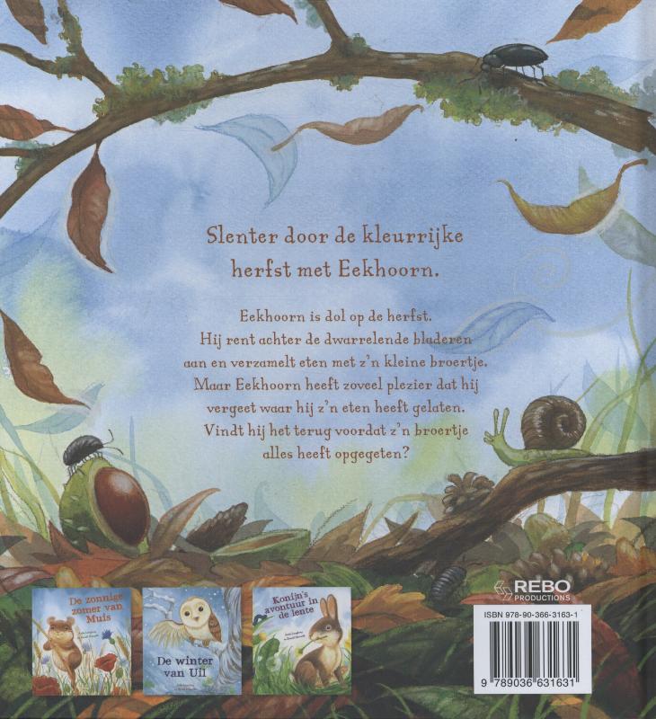 Achterkant van Eekhoorn in de herfst