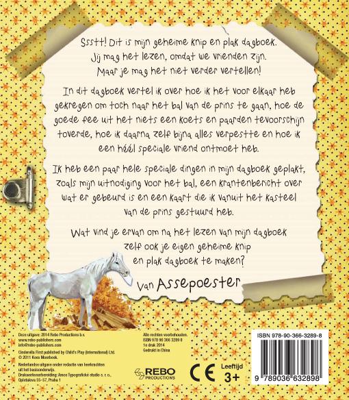 Achterkant van Assepoester