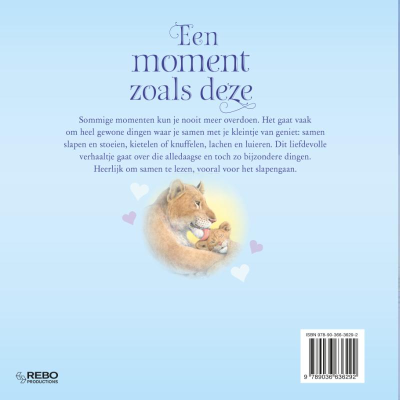 Achterkant van Een moment zoals deze