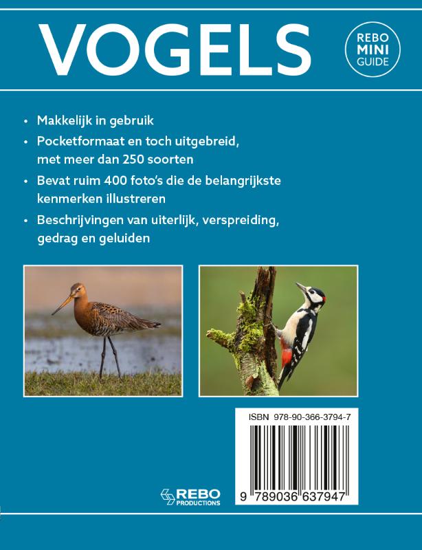 Achterkant van Rebo mini guide - Vogels