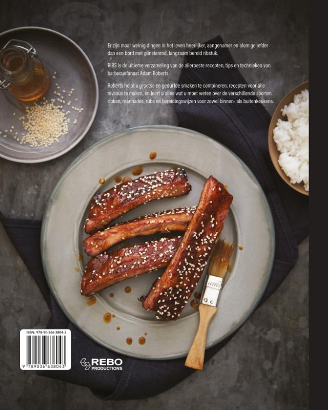 Achterkant van RIBS