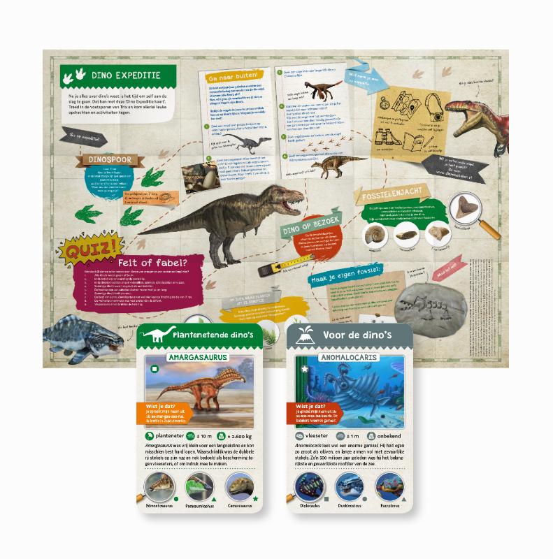 Achterkant van DINO & CO - kwartetspel met posterboek